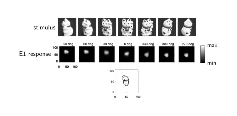 Invarianzlernen mit neuronalen Karten